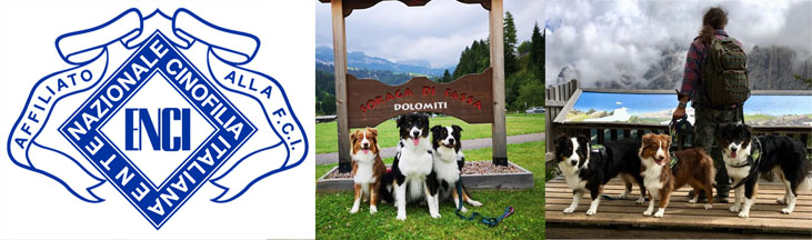 Federico Busetto Addestratore Cinofilo