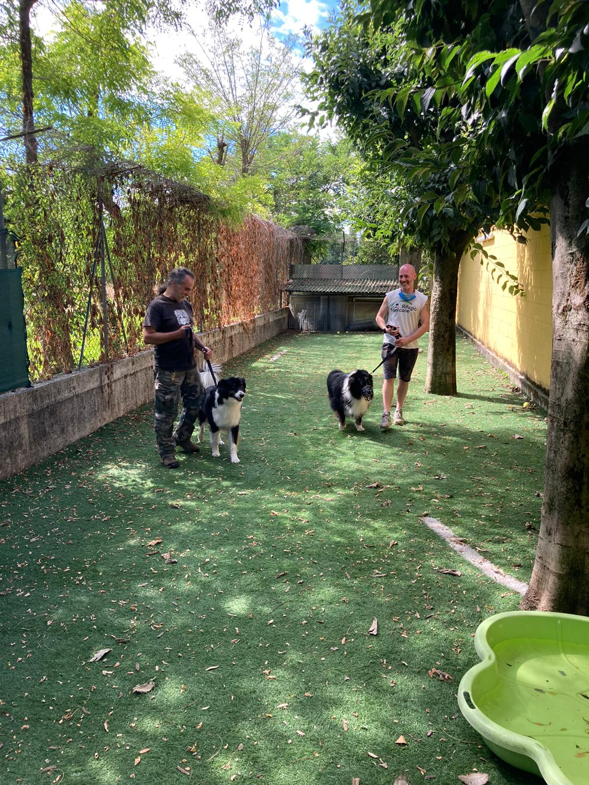 SIlvestro conosce orione 1