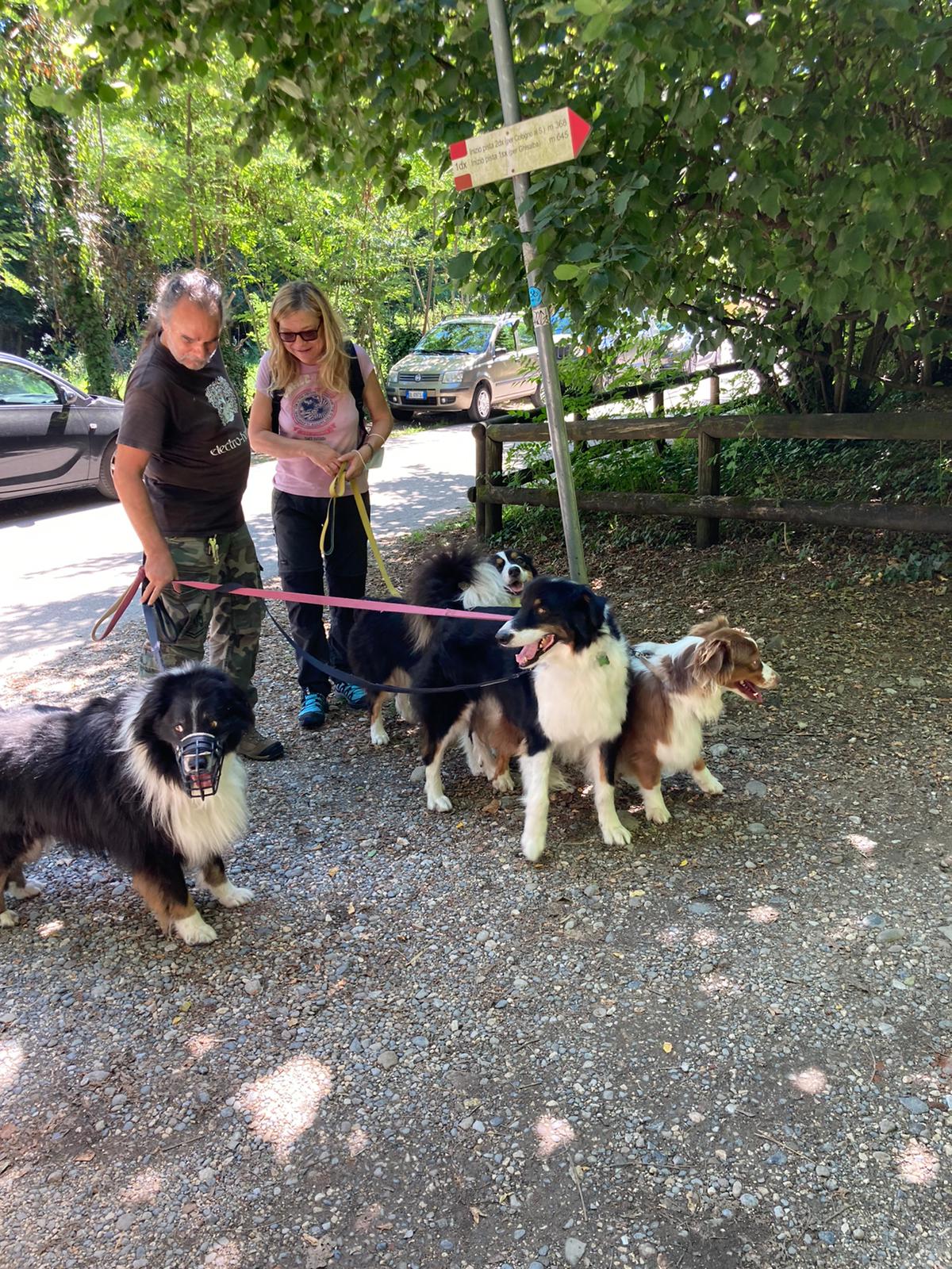 Passeggiata al canile col branco