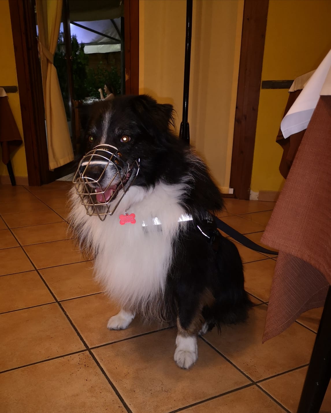 Silvestro Ristorante Morara