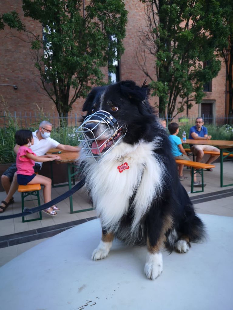 Silvstro street food