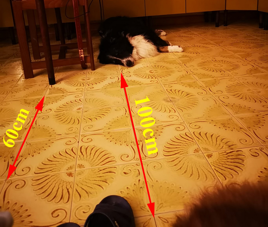 Silvestro Sala Legnago