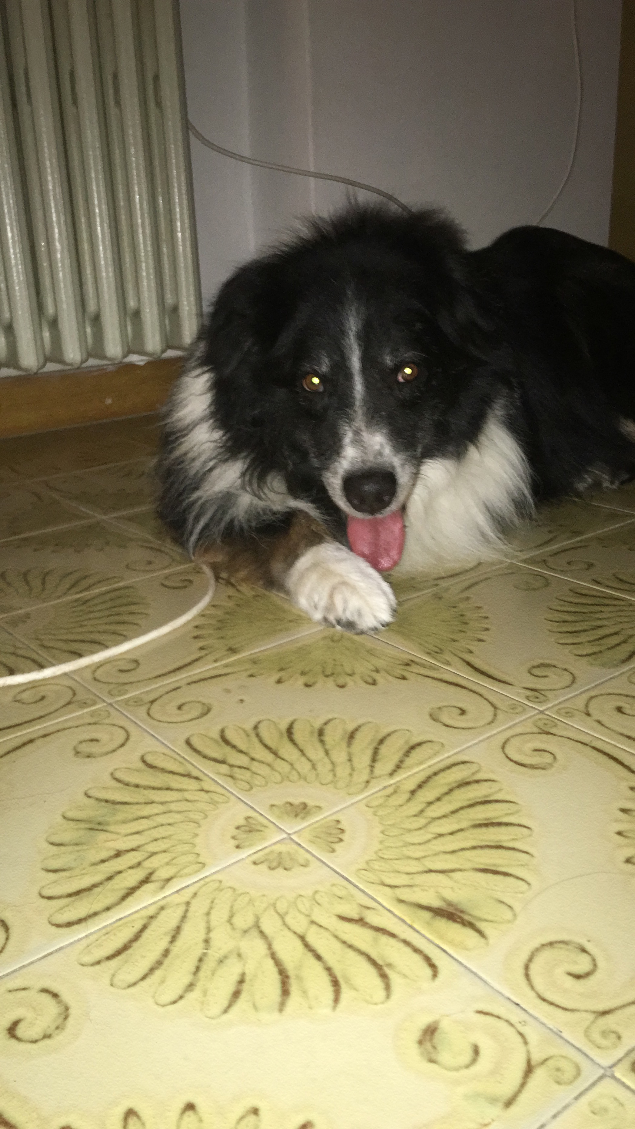 Silvestro sala Legnago 1