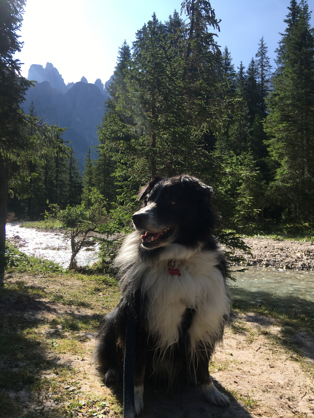 Silvestreo Val Venegia