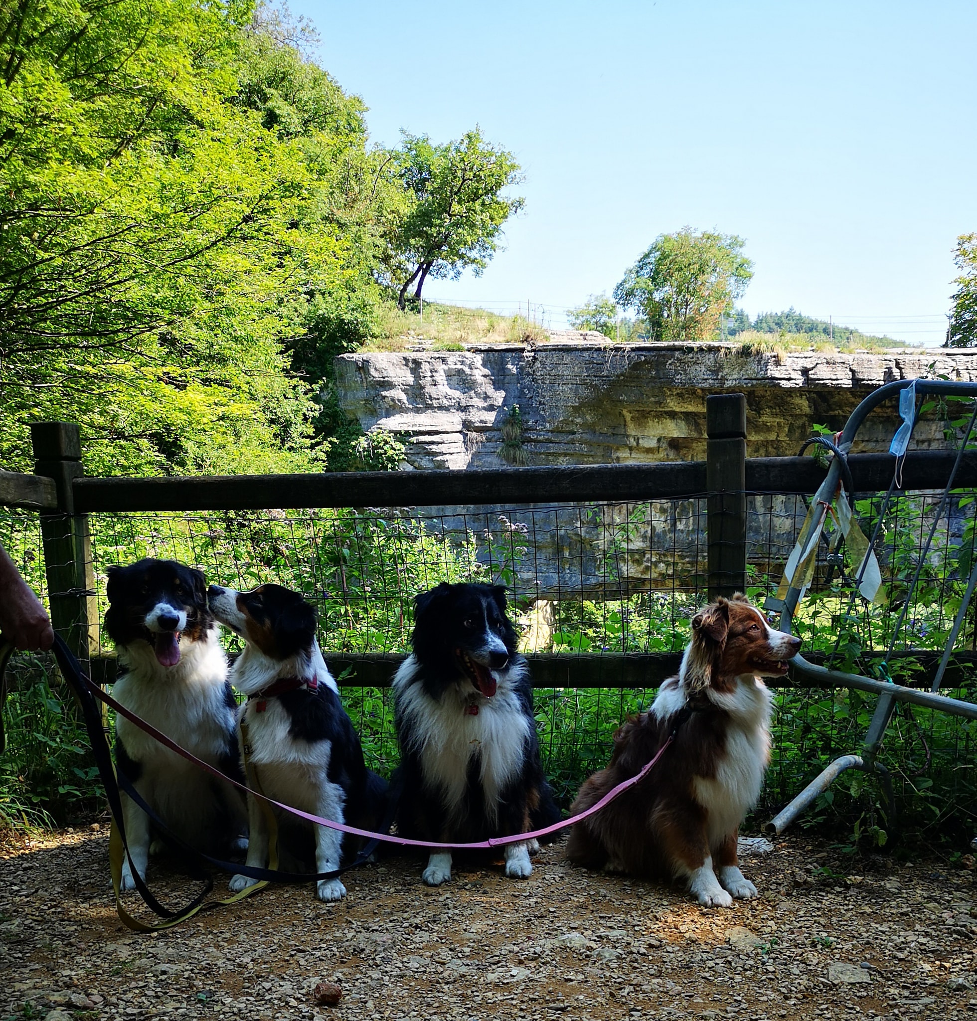 Silvestro ponte di Veja